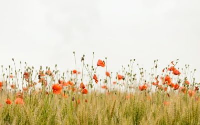 No waste en duurzamer leven